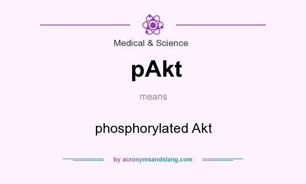 What does pAkt mean? It stands for phosphorylated Akt