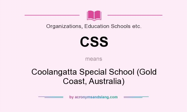 What does CSS mean? It stands for Coolangatta Special School (Gold Coast, Australia)