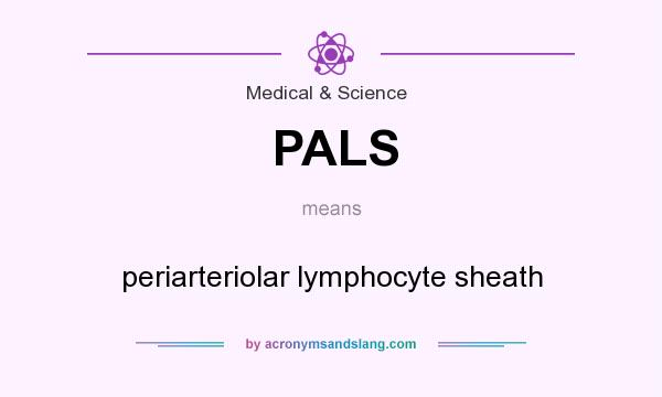What does PALS mean? It stands for periarteriolar lymphocyte sheath