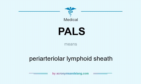 What does PALS mean? It stands for periarteriolar lymphoid sheath