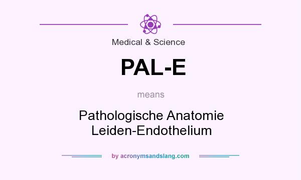 What does PAL-E mean? It stands for Pathologische Anatomie Leiden-Endothelium