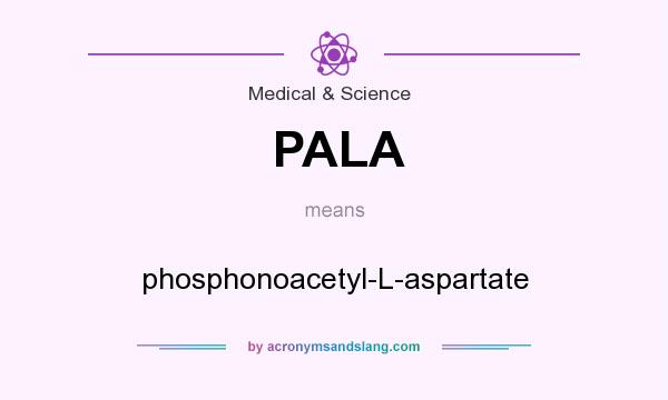 What does PALA mean? It stands for phosphonoacetyl-L-aspartate