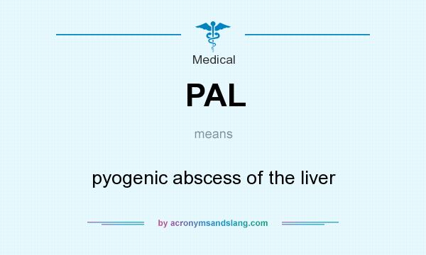 What does PAL mean? It stands for pyogenic abscess of the liver