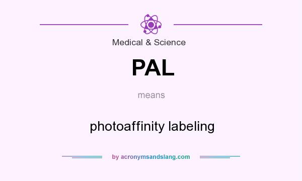 What does PAL mean? It stands for photoaffinity labeling