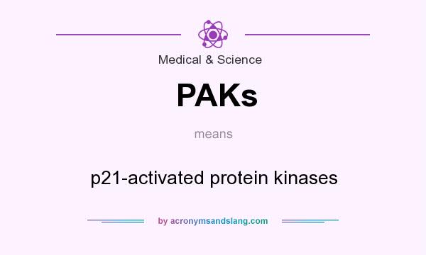 What does PAKs mean? It stands for p21-activated protein kinases