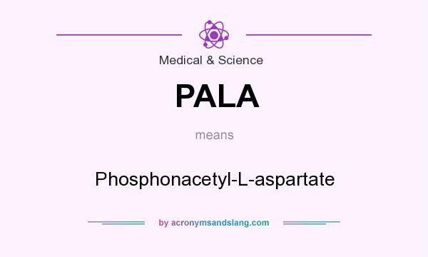What does PALA mean? It stands for Phosphonacetyl-L-aspartate