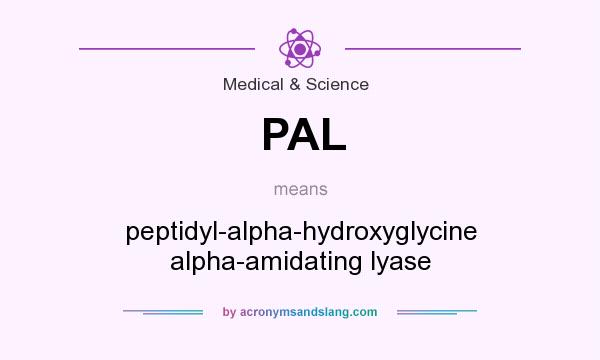 What does PAL mean? It stands for peptidyl-alpha-hydroxyglycine alpha-amidating lyase