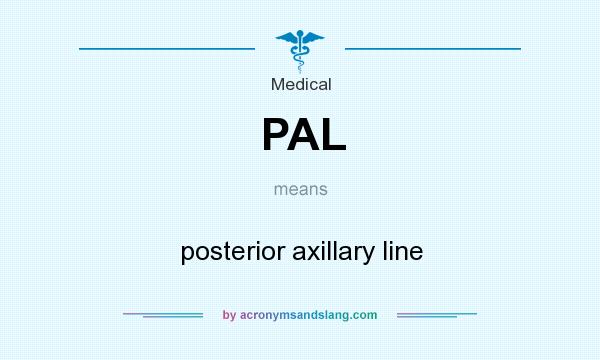 What does PAL mean? It stands for posterior axillary line