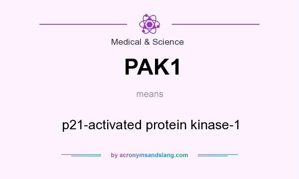 What does PAK1 mean? It stands for p21-activated protein kinase-1