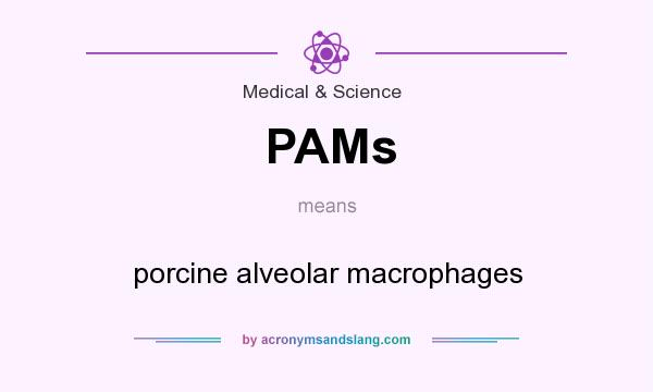 What does PAMs mean? It stands for porcine alveolar macrophages