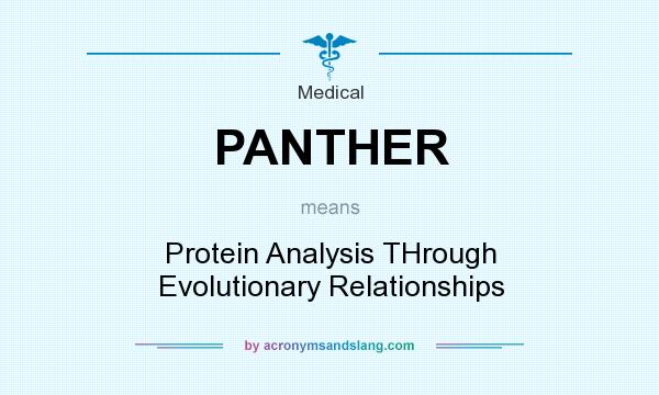 What does PANTHER mean? It stands for Protein Analysis THrough Evolutionary Relationships
