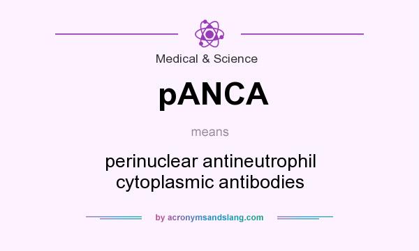 What does pANCA mean? It stands for perinuclear antineutrophil cytoplasmic antibodies
