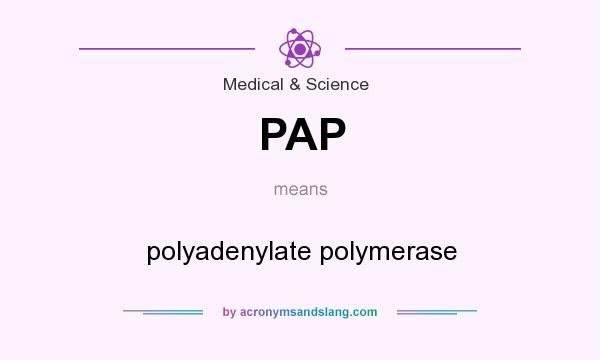 What does PAP mean? It stands for polyadenylate polymerase