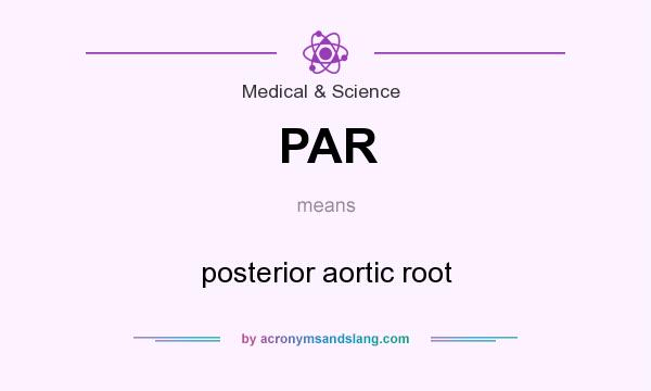 What does PAR mean? It stands for posterior aortic root