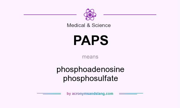 What does PAPS mean? It stands for phosphoadenosine phosphosulfate