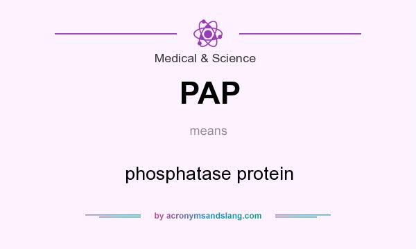 What does PAP mean? It stands for phosphatase protein