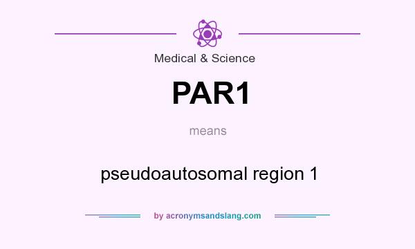 What does PAR1 mean? It stands for pseudoautosomal region 1