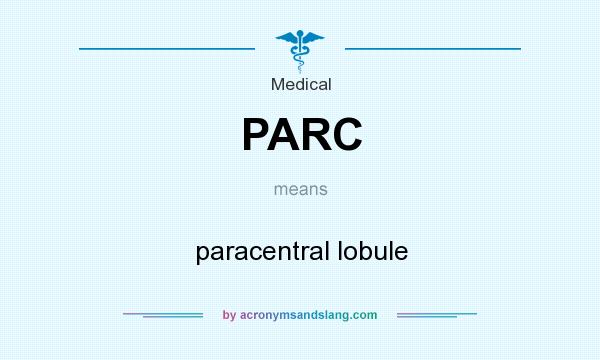 What does PARC mean? It stands for paracentral lobule
