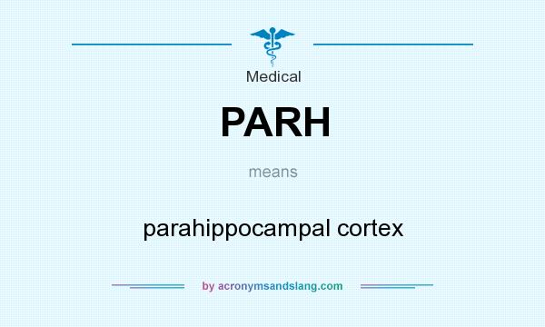 What does PARH mean? It stands for parahippocampal cortex