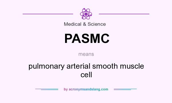 What does PASMC mean? It stands for pulmonary arterial smooth muscle cell