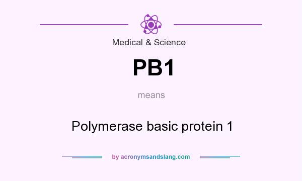 What does PB1 mean? It stands for Polymerase basic protein 1