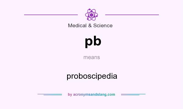 What does pb mean? It stands for proboscipedia