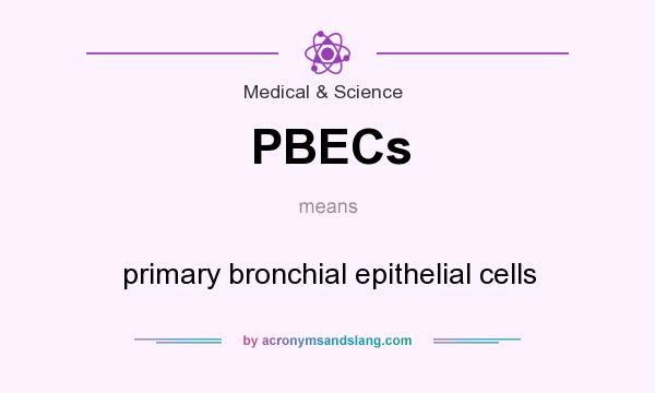 What does PBECs mean? It stands for primary bronchial epithelial cells