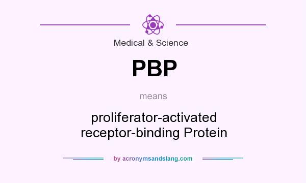 What does PBP mean? It stands for proliferator-activated receptor-binding Protein