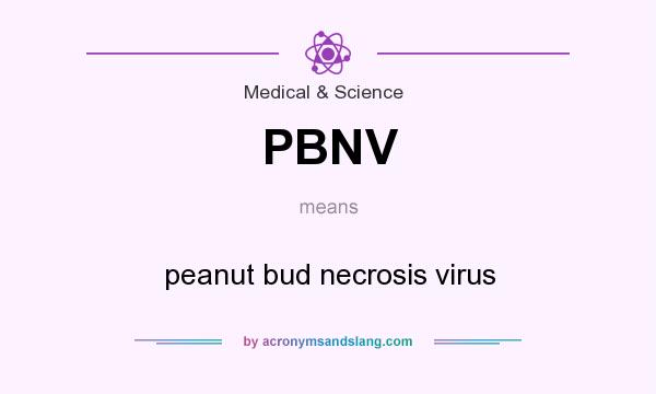 What does PBNV mean? It stands for peanut bud necrosis virus
