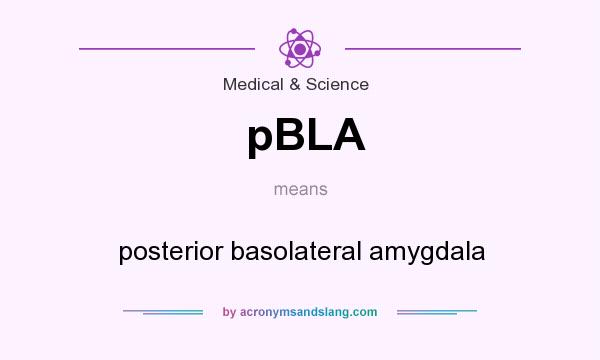 What does pBLA mean? It stands for posterior basolateral amygdala