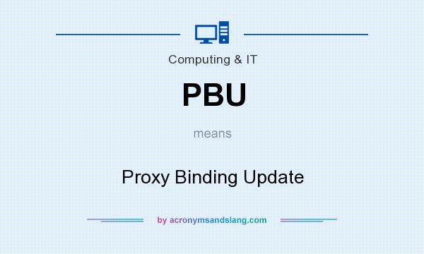 What does PBU mean? It stands for Proxy Binding Update