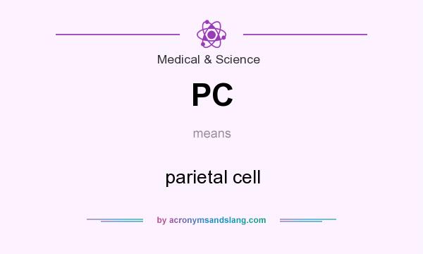 What does PC mean? It stands for parietal cell