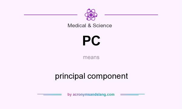 What does PC mean? It stands for principal component