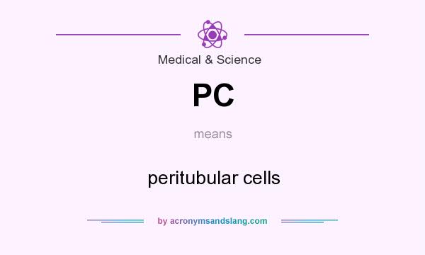 What does PC mean? It stands for peritubular cells