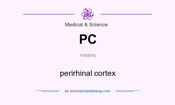 What does PC mean? It stands for perirhinal cortex