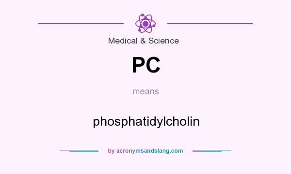 What does PC mean? It stands for phosphatidylcholin