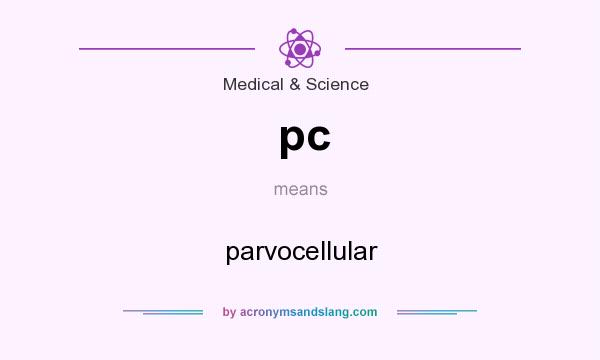 What does pc mean? It stands for parvocellular