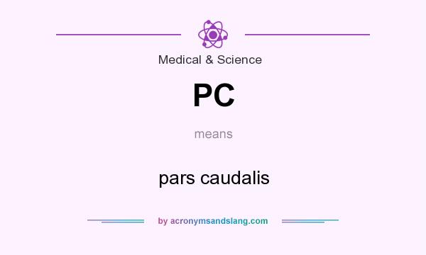 What does PC mean? It stands for pars caudalis