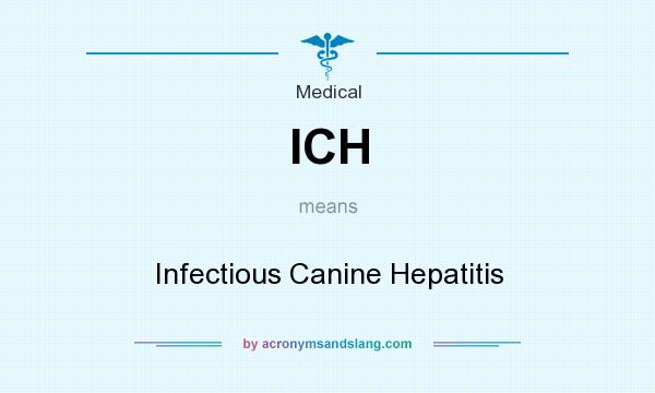What does ICH mean? It stands for Infectious Canine Hepatitis