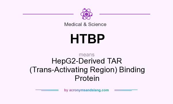 What does HTBP mean? It stands for HepG2-Derived TAR (Trans-Activating Region) Binding Protein