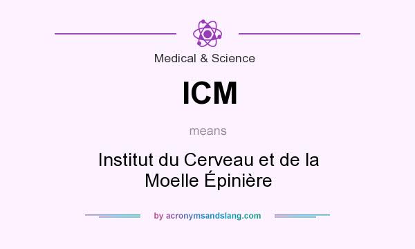 What does ICM mean? It stands for Institut du Cerveau et de la Moelle Épinière