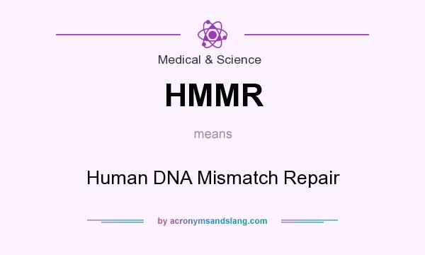 What does HMMR mean? It stands for Human DNA Mismatch Repair