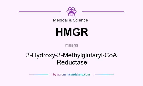 What does HMGR mean? It stands for 3-Hydroxy-3-Methylglutaryl-CoA Reductase