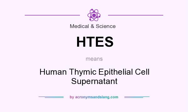 What does HTES mean? It stands for Human Thymic Epithelial Cell Supernatant