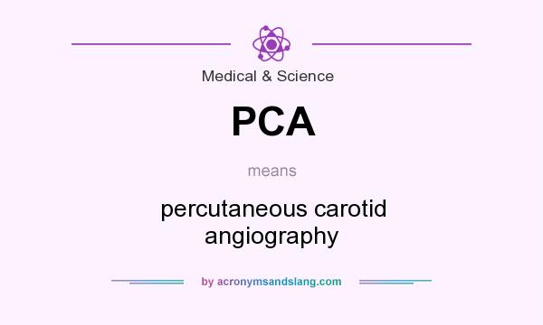 What does PCA mean? It stands for percutaneous carotid angiography