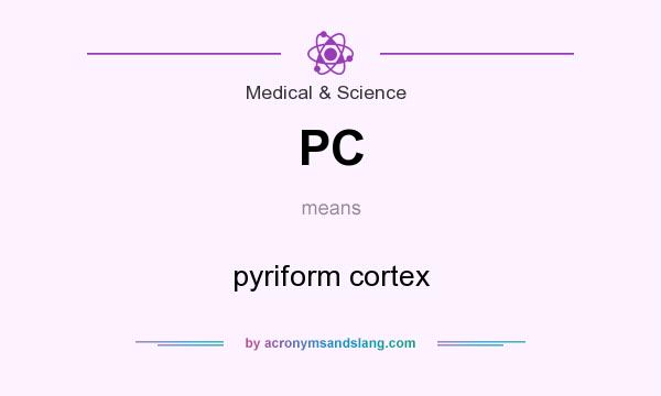 What does PC mean? It stands for pyriform cortex
