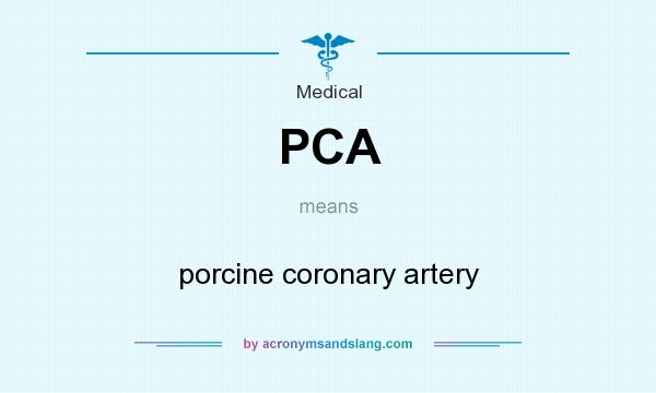 What does PCA mean? It stands for porcine coronary artery