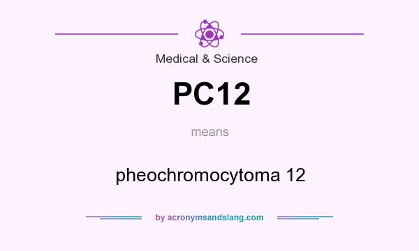 What does PC12 mean? It stands for pheochromocytoma 12