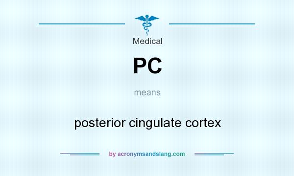 What does PC mean? It stands for posterior cingulate cortex