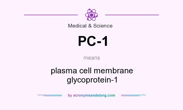 What does PC-1 mean? It stands for plasma cell membrane glycoprotein-1